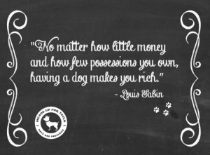 10 dog quotes to warm your heart!