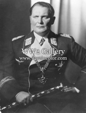 Hermann Goering Portrait