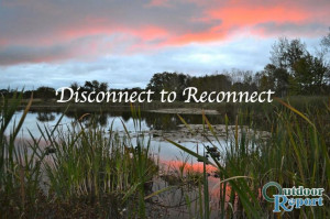 You must disconnect from your personal life to reconnect with nature.