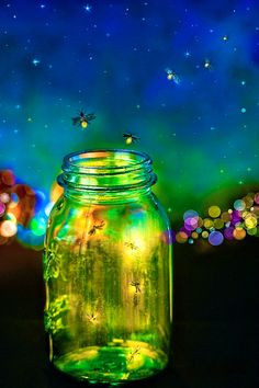 Fireflies More