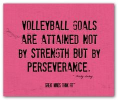 Volleyball Quotes on Posters for Motivation