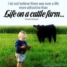 ... Life on a cattle farm. --Theodore Roosevelt #quotes #Darigold #Farm