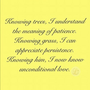 Quotes Persistence Love ~ Quotes About Persistence In Love ...