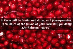 Ramadan Quotes islam quotes 2014