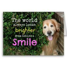 Golden Retriever Behind A Smile Greeting Card! Buy on Zazzle! More