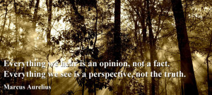 ... we see is a perspective not the truth. Marcus Aurelius Quote