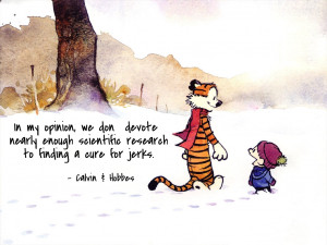 calvin Friendship inspirational deep and nothing Calvin and Hobbes ...