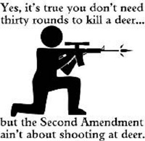 second-amendment-2-200px.jpg