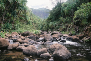 We will be in Hawaii the first week of August photographing a sweet ...
