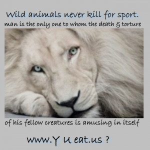 Animals Never Kill For Sport. Man Is The Only One To Whom The Death ...
