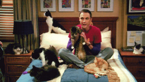Sheldon & Cats - the-big-bang-theory Fan Art
