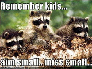 From the movie Patriot (the middle raccoon is Mel Gibson)