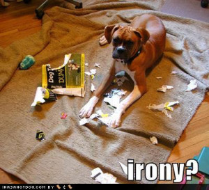 1a887_funny-dog-pictures-dog-ate-your-book-about-dogs.jpg