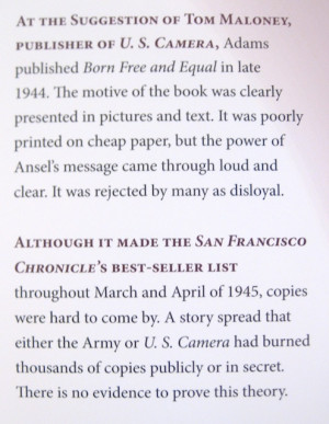 Go Back > Gallery For > Friends Poster Everything I Know Quotes