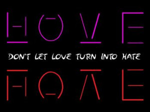 Hate Turns Love Httl Book...