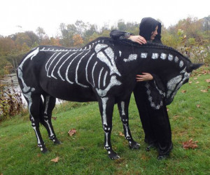 you might also like: Best Kids Halloween Costumes of 2013 – 18 Pics