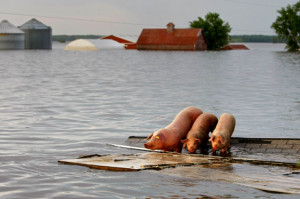 Most extreme weather state of Midwest Floods in missouri show the most