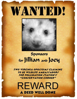 ... stewardship. Sponsorships help provide funds for health care and