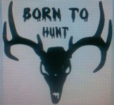 wall stickers quotes best air rifle for hunting