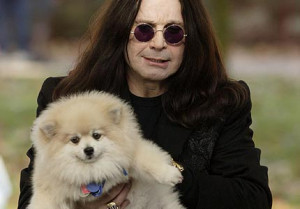Ozzy_osbourne430x300_medium