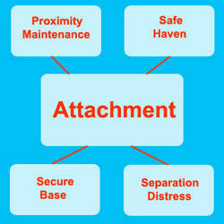 john bowlby s attachment theory attachment is a special emotional