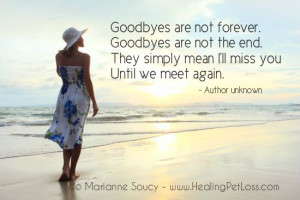 Goodbyes are not the end