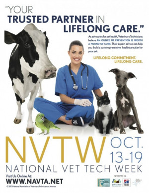 ... one giant ‘thank you!” Hug your veterinary technician this week