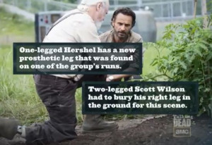 herschel quotes on the walking dead | The Walking Dead: The Story Of ...