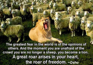 Lion does not concern himself with the opinions of the sheep