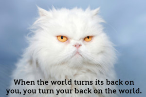 ... likes Disney quotes. Does the internet like cats with Disney quotes