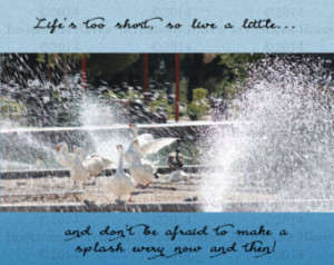 10x8 Poster with ducks splashing an d quote 