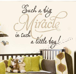 1082 SUCH A BIG MIRACLE Boy Nursery Wall Quote
