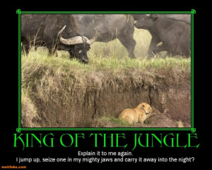 KING OF THE JUNGLE demotivational poster
