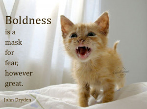 Boldness Quote: Boldness is a mask for fear, however... boldness- (3)