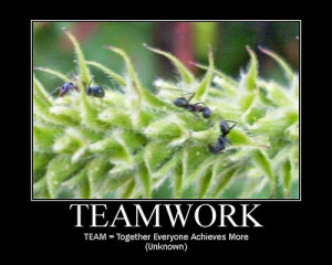 Quotes Teamwork Funny And Sayings Quotespic Doblelol
