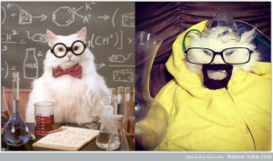 Breaking Bad Trolling