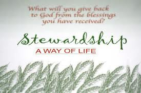 The Meaning of Stewardship