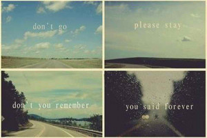 first liked you i was afraid to love you now that i love you i m ...