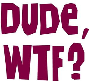 Dude-WTF-Adult-Rude-Offensive-Cooking-Apron-Aprons-With-Dirty-Sayings