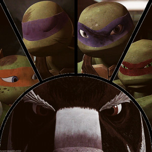 am a turtle that is ugly writing to you from somewhere in the ...