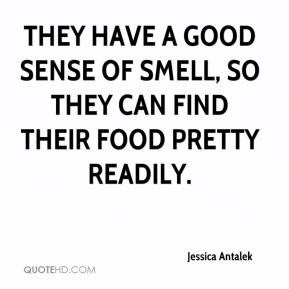 Jessica Antalek - They have a good sense of smell, so they can find ...