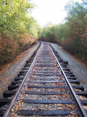 here is a picture of a real life train track the tracks look just like ...