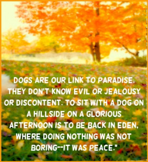 ... Eden, where doing nothing was not boring--it was peace. #quote #dogs