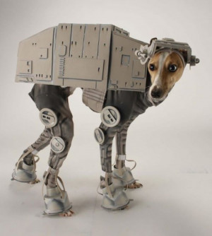 Funny photos funny Halloween costume dog Star Wars