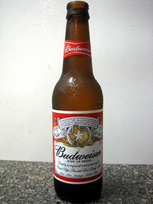 To help improve the quality of the lyrics, visit Amy Clampitt ...