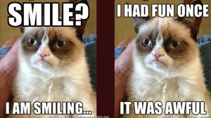 Grumpy Cat gets his own feature film