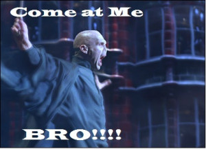 ... at me bro, harry potter, lord voldemort, quotes, text, true, voldemort