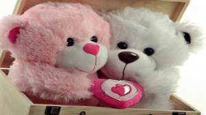 happy teddy day quotes