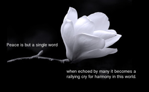 Peace Is But A Single Word When Ecroed By Many it Becomes A Rallying ...