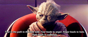 Fear is the path to the dark side. Fear leads to anger. Anger leads to ...